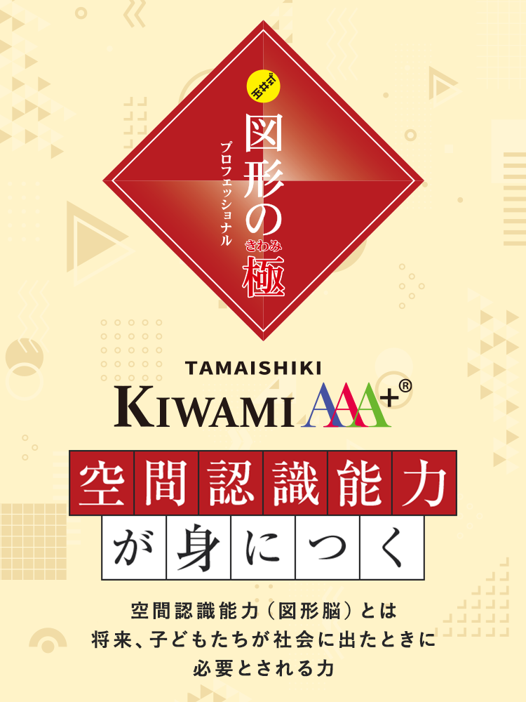 ☆希少☆図形の極 玉井式 3級-